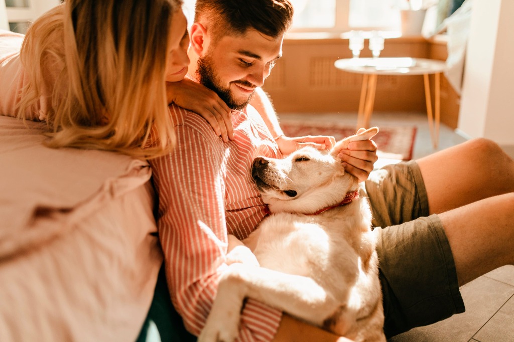El duelo por una mascota: por qué es válido y cómo transitarlo